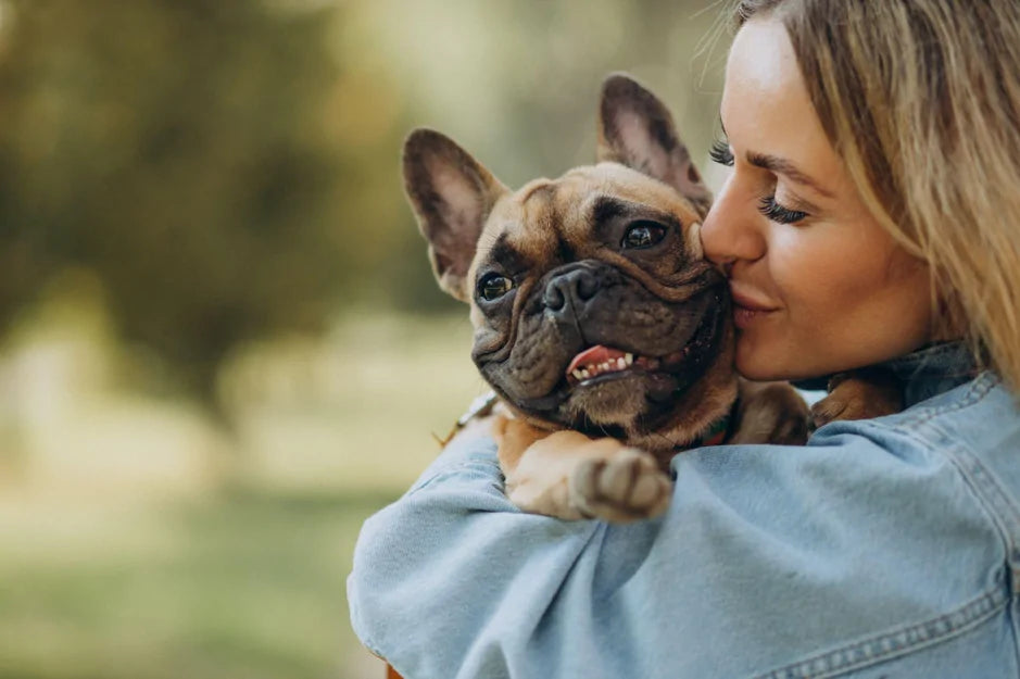 Dermatite nel cane: cause, sintomi e rimedi efficaci