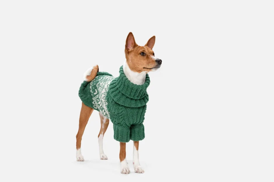 In inverno il pelo tiene caldo o al cane serve il cappottino?