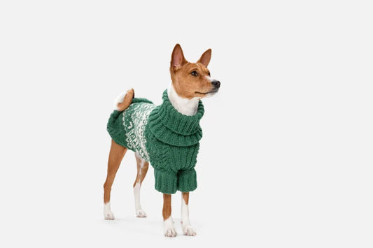 In inverno il pelo tiene caldo o al cane serve il cappottino?