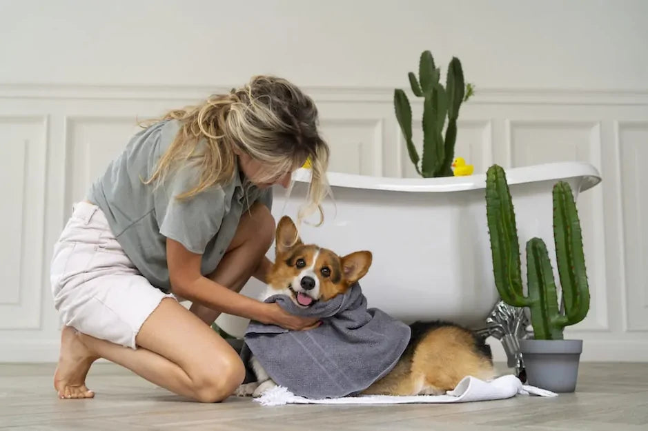 L’importanza degli ingredienti sicuri e naturali nei prodotti PET Care: una guida completa