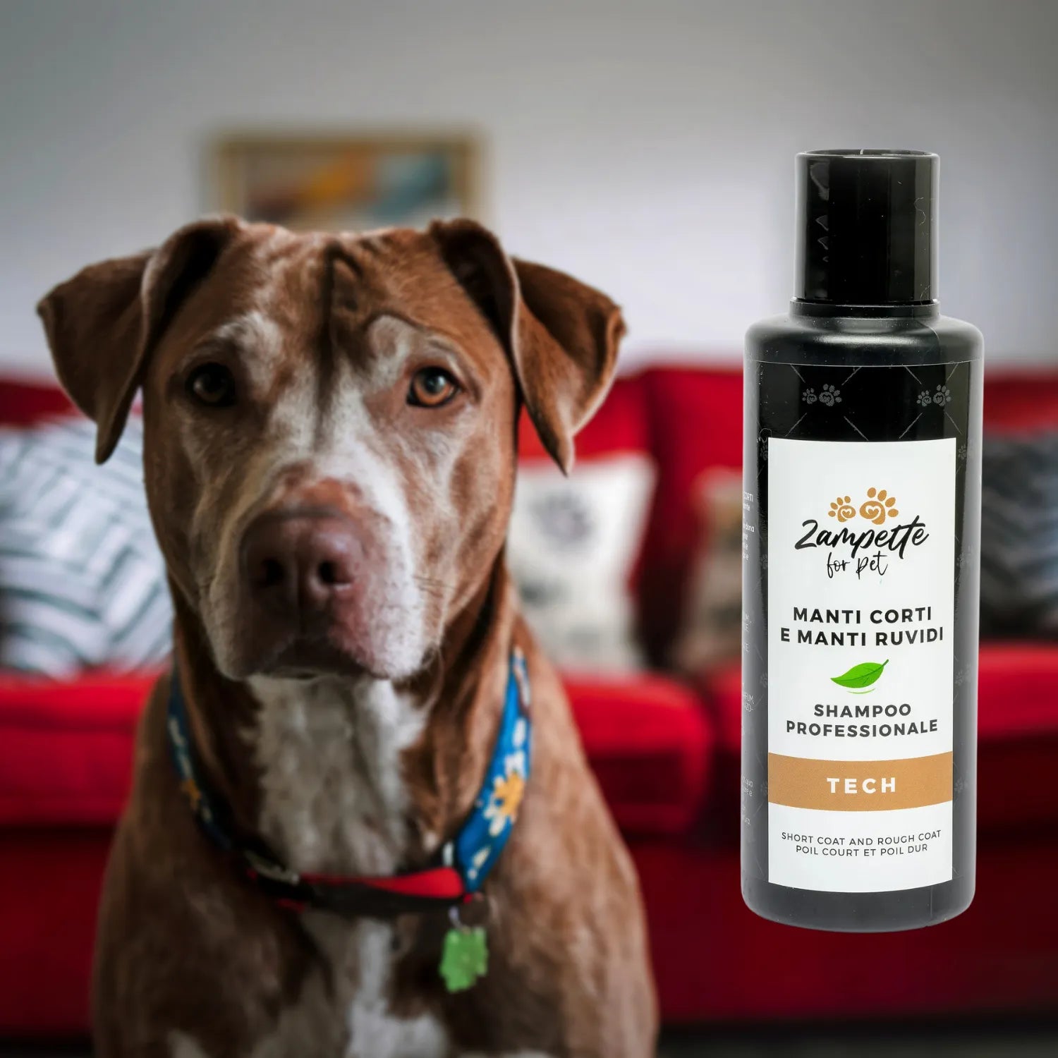 Shampoo Manti Corti e Ruvidi