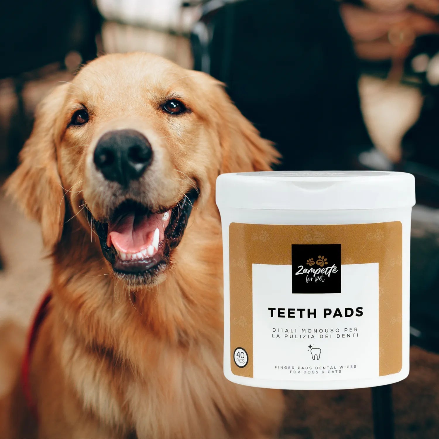 teeth pads per pulizia denti cane