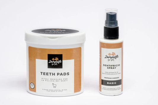 Kit Pulizia Denti