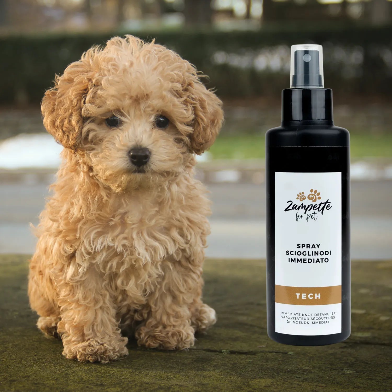 spray scioglinodi per cane