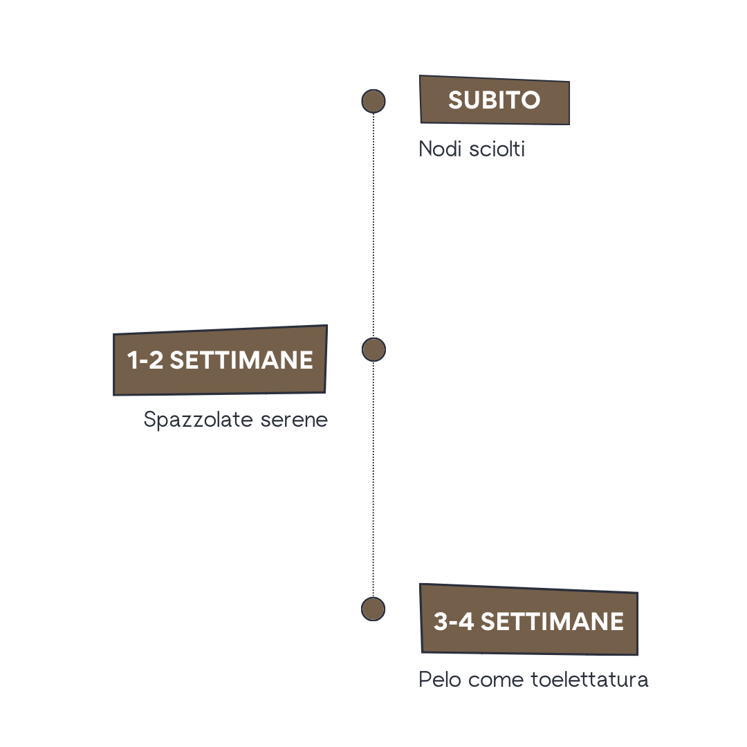 Immagine sezione